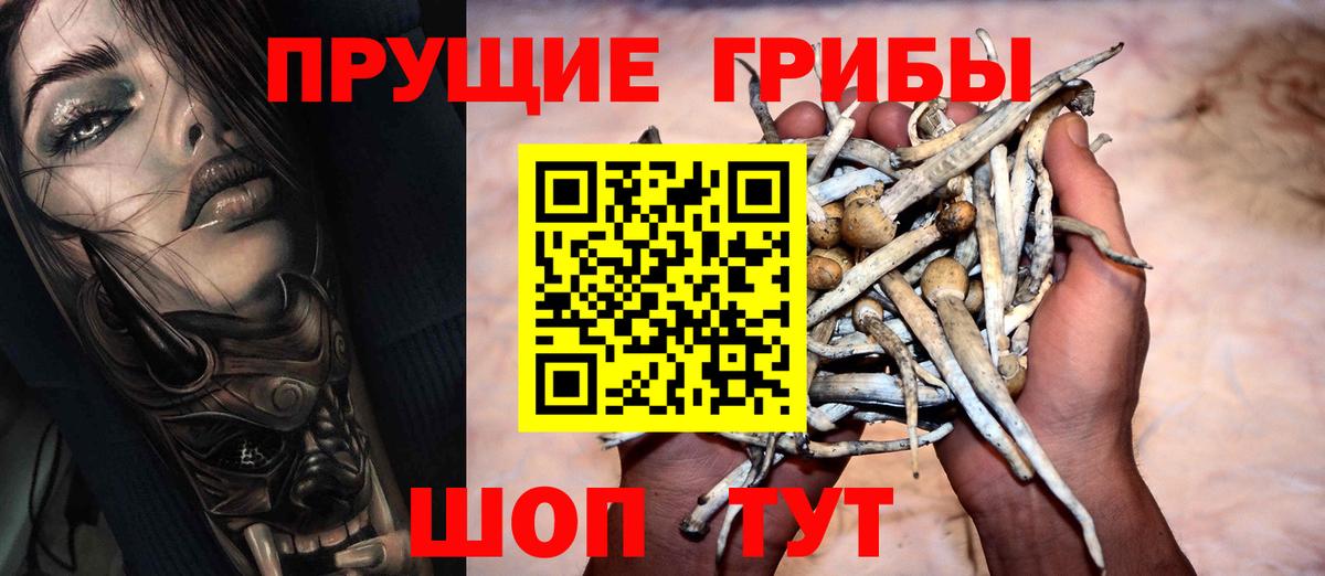 Урус-Мартан  Галлюциногенные грибы MAGIC MUSHROOMS  Вход с VPN 