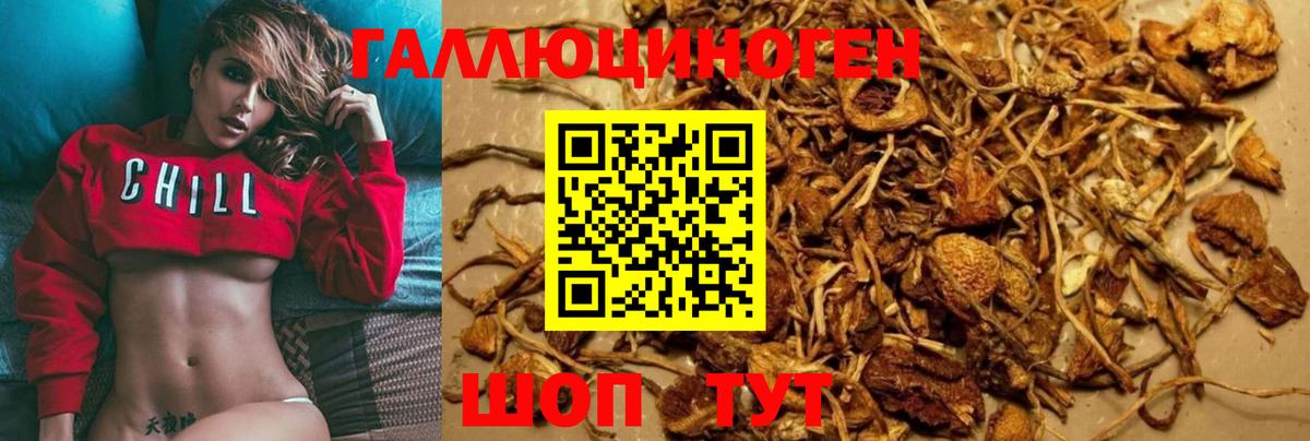Каннабис  Вход с VPN  МЕФ   NBOMe  Урус-Мартан  ГАШ 